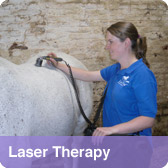 Laser Therapy