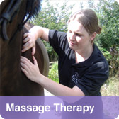 Massage Therapy