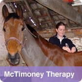 McTimoney Therapy