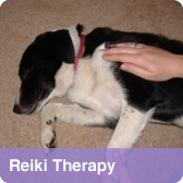 Reiki Therapy