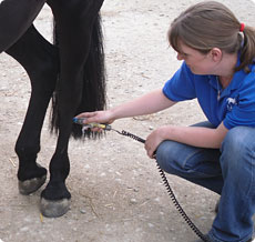 Low-Level Laser Therapy (LLT / Cold Laser)