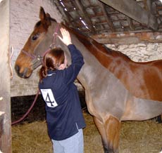 Palpation of cervicals