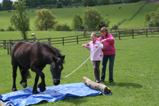 Lynn Henry, natural horsemanship teacher and author, Bramhope, Leeds