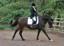 Deborah Carr-Davidson - Foxholm Stud, Billingham