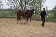 Janice Chadwick - Owner Fir Tree Stud, Training & Livery Yard, East Yorkshire.