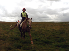 Sally Flatman, Brackenber, Cumbria